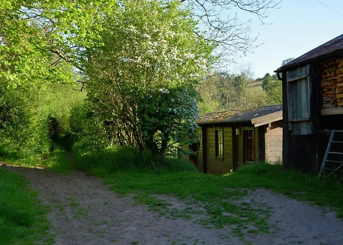 Log Cabin