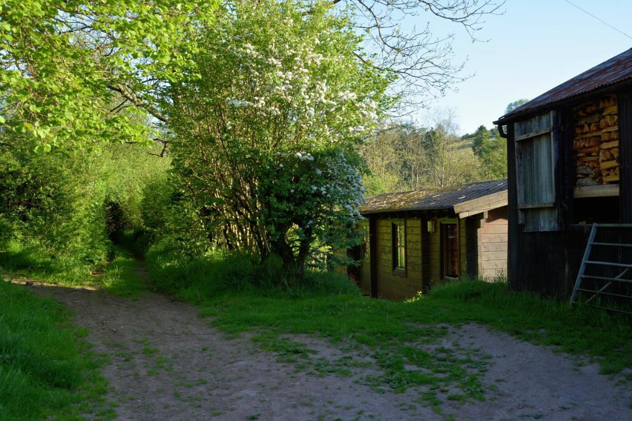 Log Chalet