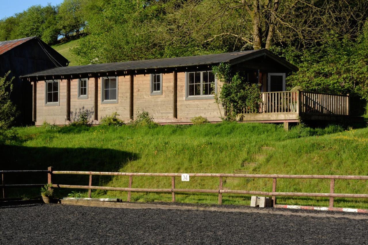 Log Chalet Brecon