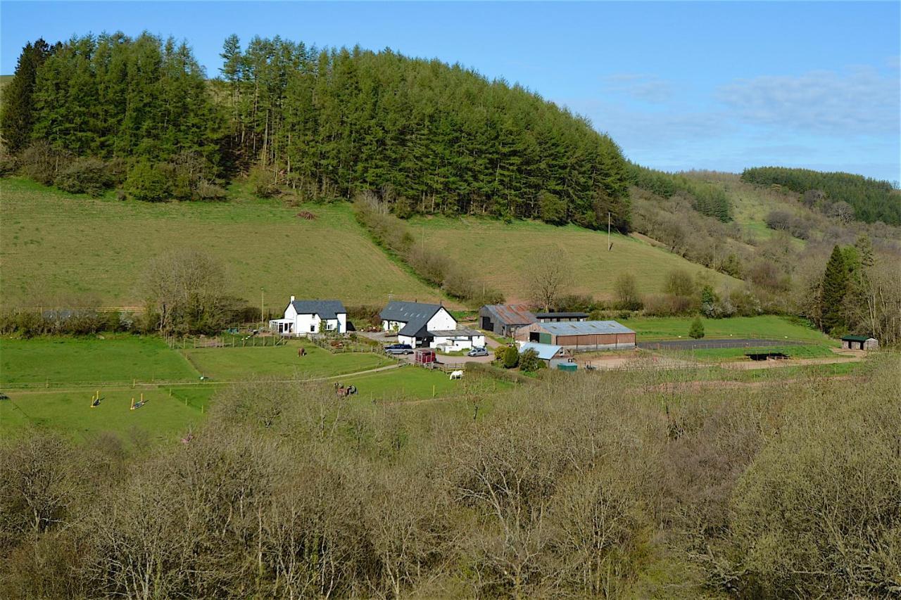 Log Chalet Brecon